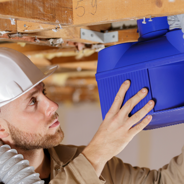 Starr and Willacy Counties, TX