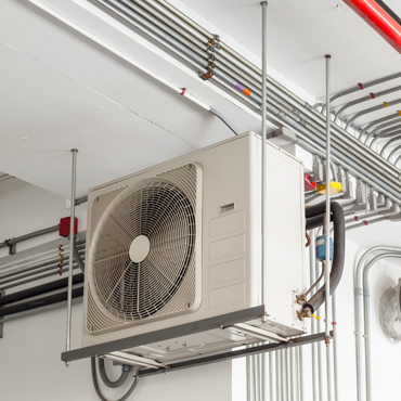 Starr and Willacy Counties, TX