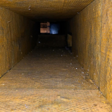 Starr and Willacy Counties, TX