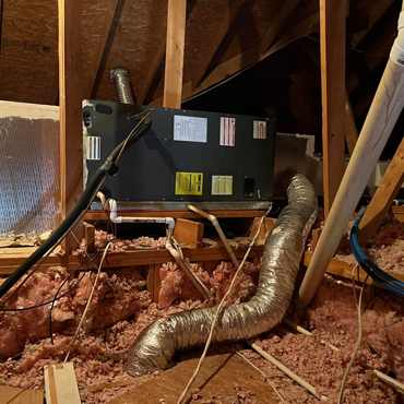 Starr and Willacy Counties, TX