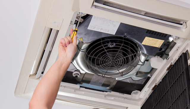 Starr and Willacy Counties, TX